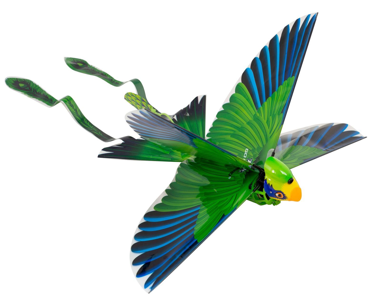 Go Go Bird